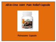 Painazone Arthritis Pain Relief Capsule
