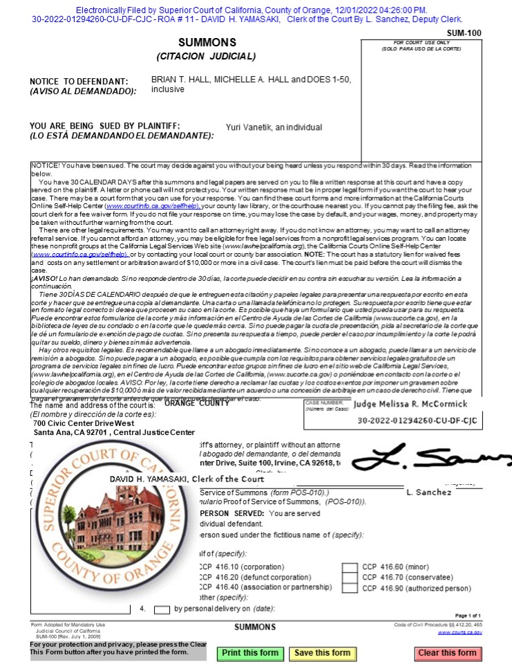 Brian T Hall and Michele Hall News & Litigation Updates (1)