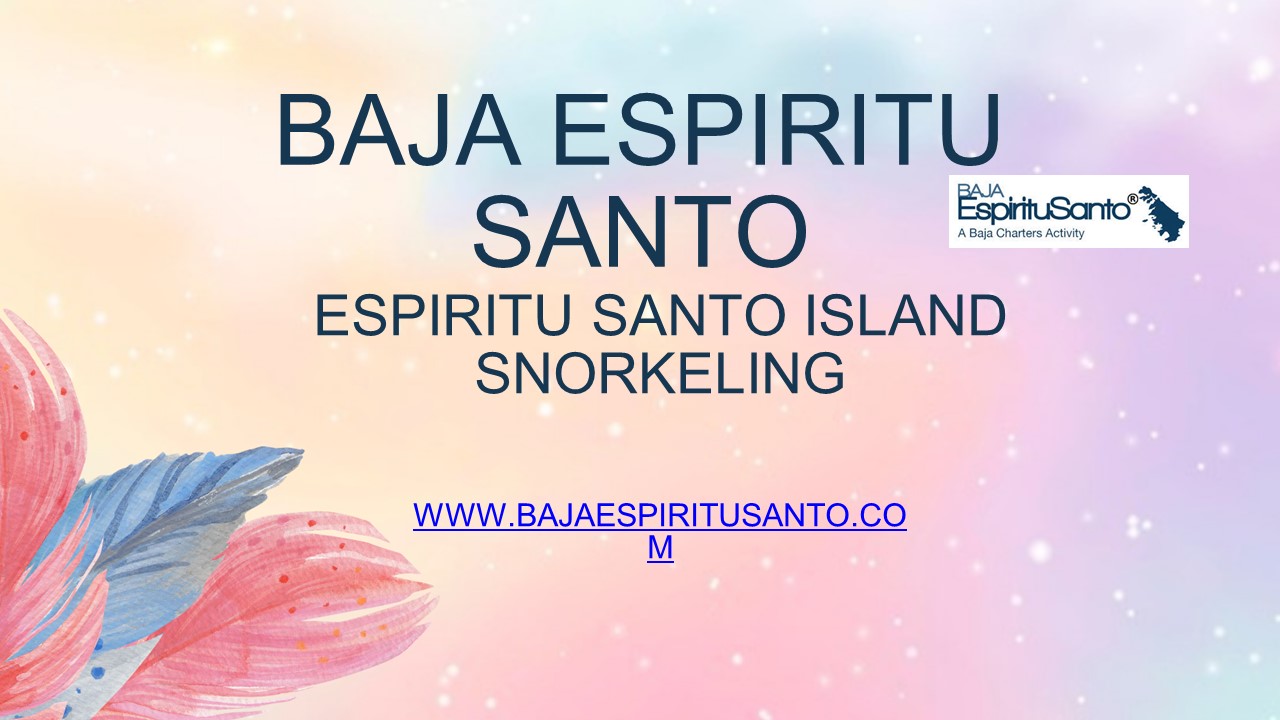 The Most Beautiful Tour To Espiritu Santo Island Snorkelling