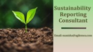 Work performed by Sustainability Reporting Consultant