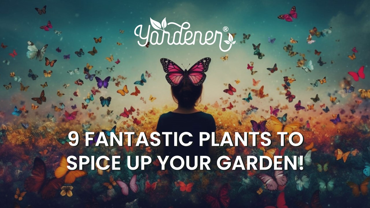 9 Fantastic Plants to Spice Up Your Garden!