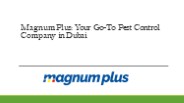 Magnum Plus: Your Go-To Pest Control Company in Dubai