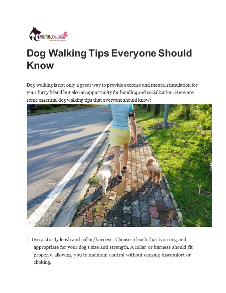 Dog Walking Tips Everyone Should Know