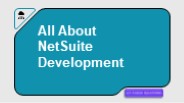 All About NetSuite Development