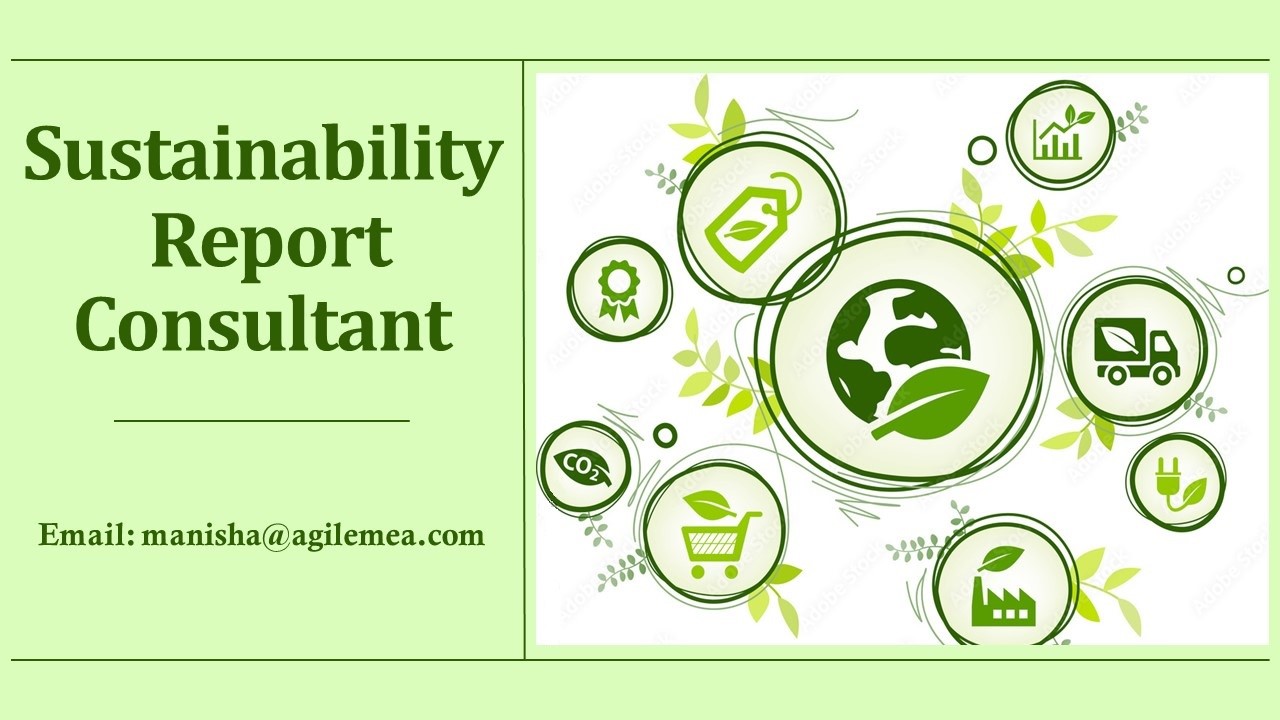 Sustainability Report Consultant (3)