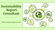 Sustainability Report Consultant (3)