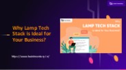 Why Lamp Tech Stack is Ideal for Your Business?