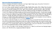 Spinzign Review (1)