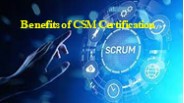 CSM Online Training