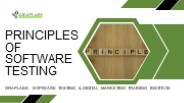 Principles of Software Testing - GrapLabs