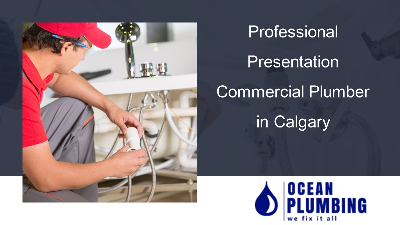 Professional Presentation Commercial Plumber in Calgary