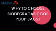 Why to Choose Biodegradable Dog Poop Bags?