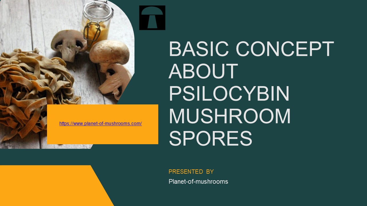 Basic Concept about Psilocybin mushroom spores