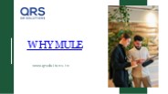 Why Mule? | QR Solutions Pvt Ltd