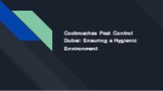 Cockroaches Pest Control Dubai: Ensuring a Hygienic Environment