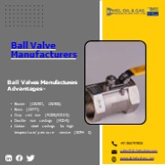 DChel Valves, Check Valves, Plug Valves, Choke Valves