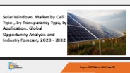 Solar Windows Market