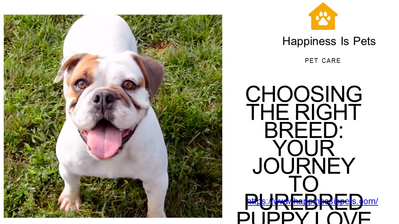 Best Places That Sell Puppies - Happiness is Pets