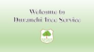 Importance of Professional Tree Trimming Services Las Vegas