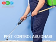 PEST CONTROL DUBAI