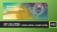 Andy's Pest Control Sydney, termite control, rodent control