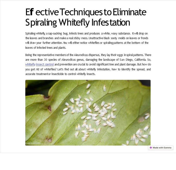 Effective Techniques to Eliminate Spiraling Whitefly Infestation