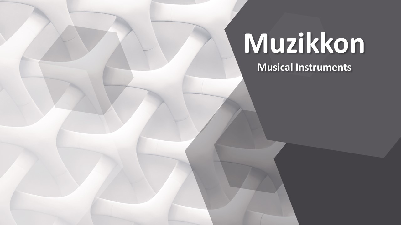 Discover Melodic Journey at Our Musical Instrument Store