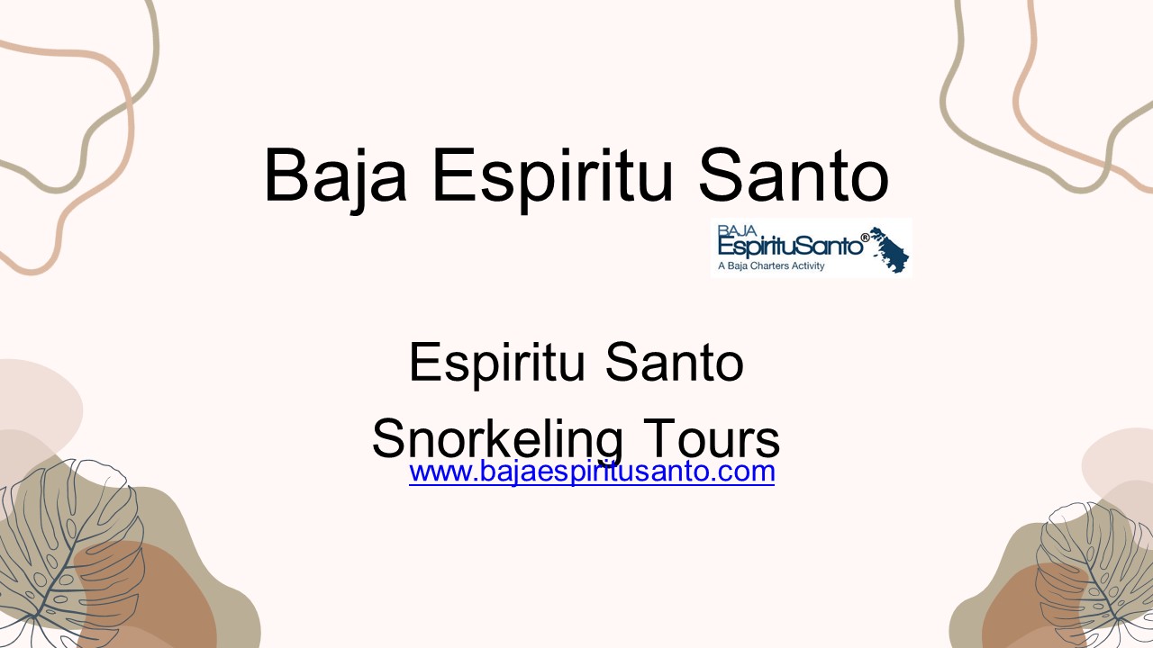 Beautiful Espiritu Santo Enjoy Snorkelling Tours