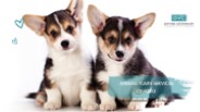 Compassionate Animal Care Services in Oxford