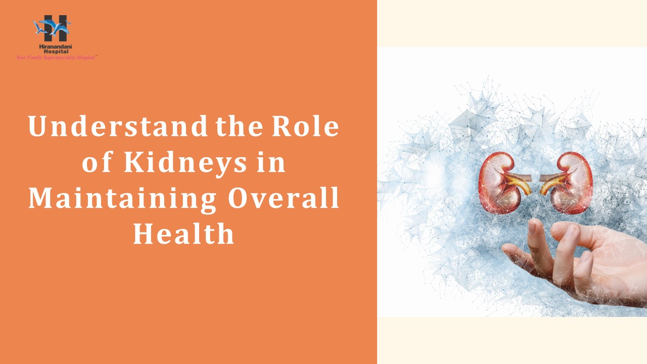Understand the role of kidneys in maintaining overall health ...