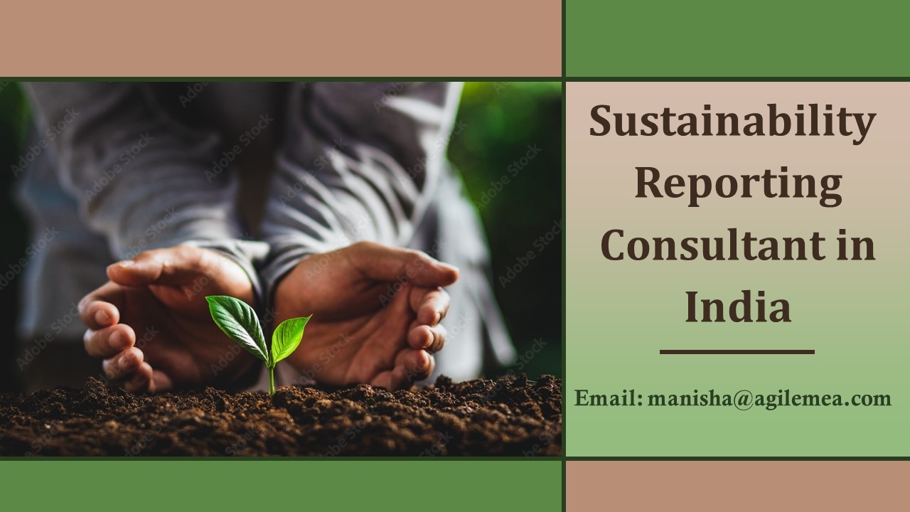 Why should businesses engage with sustainability reporting?