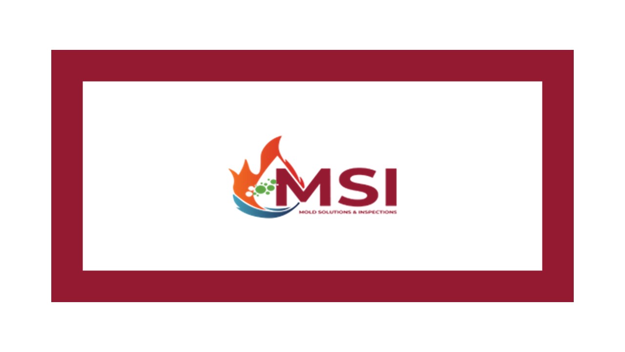 Welcome To Mold Remediation Services