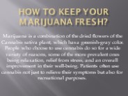 How to Keep Your Marijuana Fresh?
