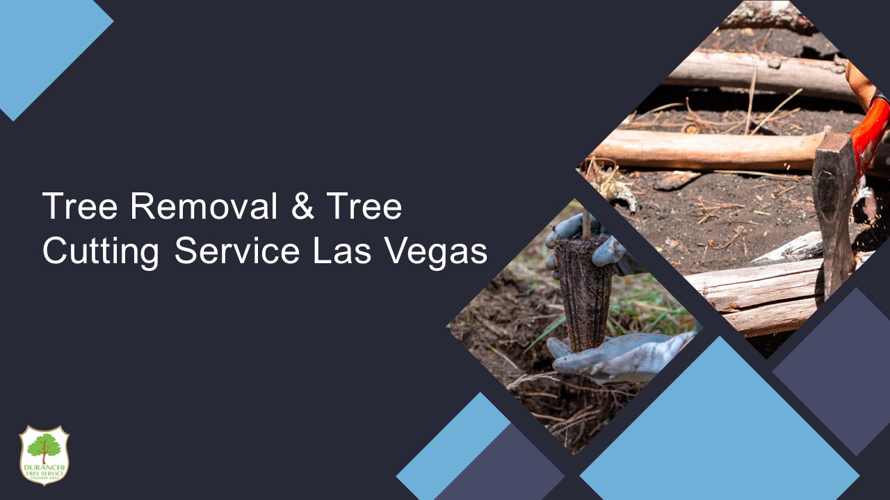 Tree Removal & Tree Cutting Service Las Vegas