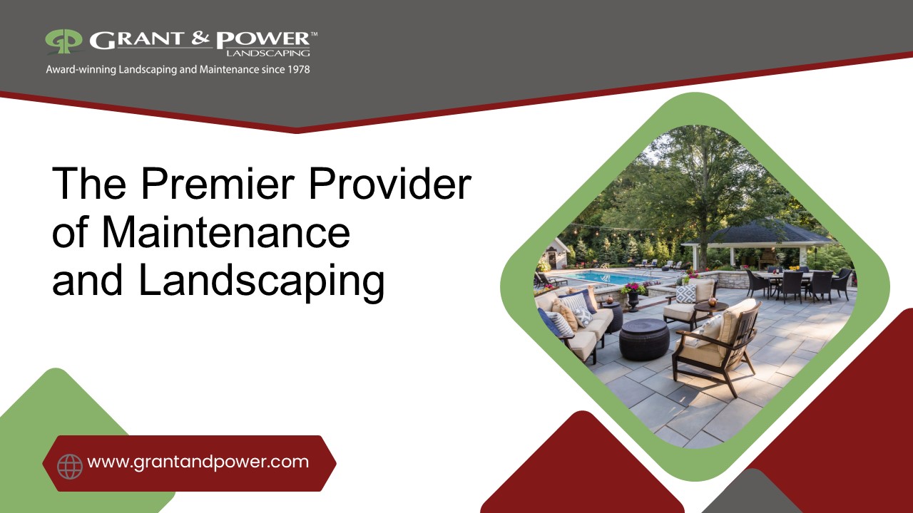 The Premier Provider of Maintenance and Landscaping