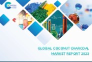 Coconut Charcoal Market Report 2023 (1)