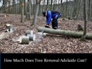 How Much Does Tree Removal Adelaide Cost?