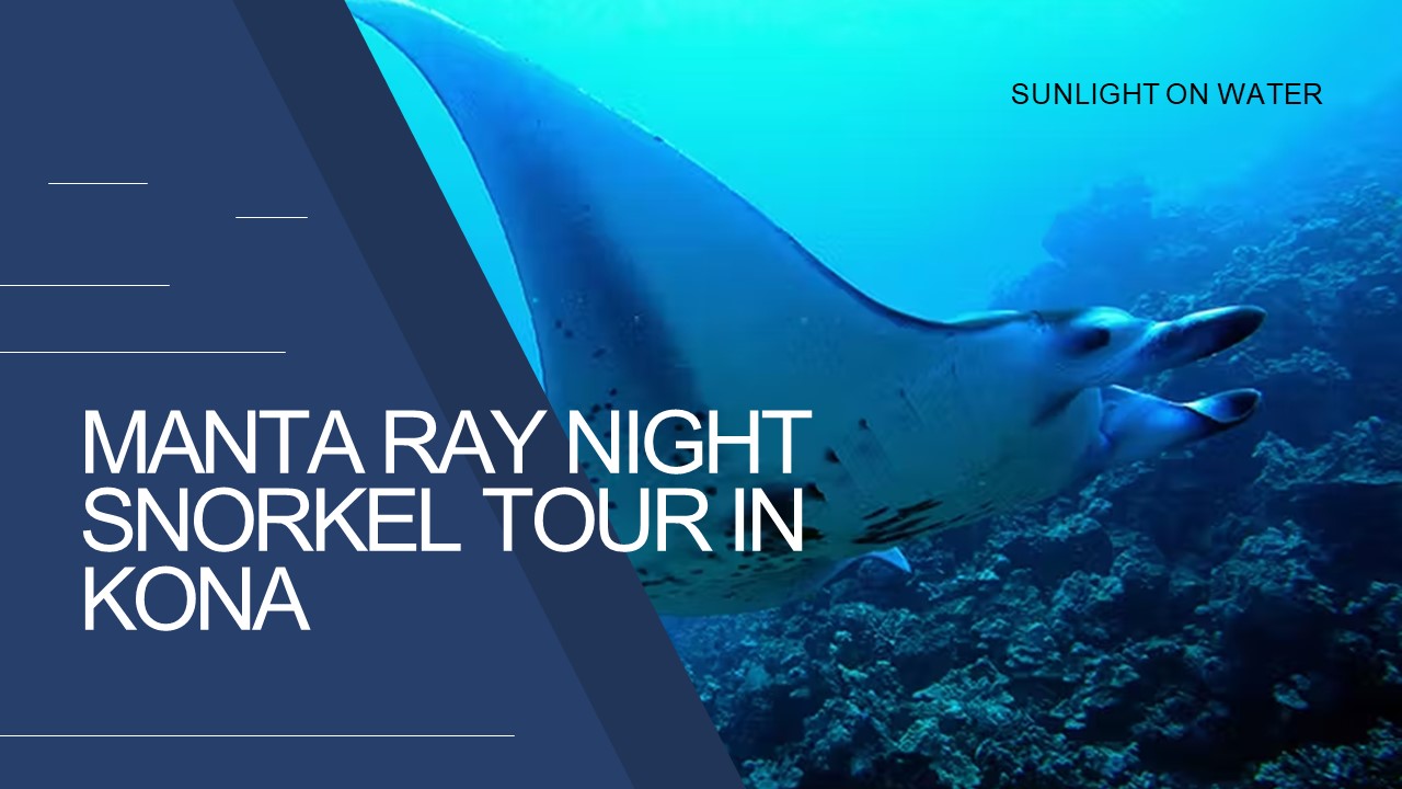 SUNLIGHT ON WATER - Manta Ray Night Snorkel Tour in Kona
