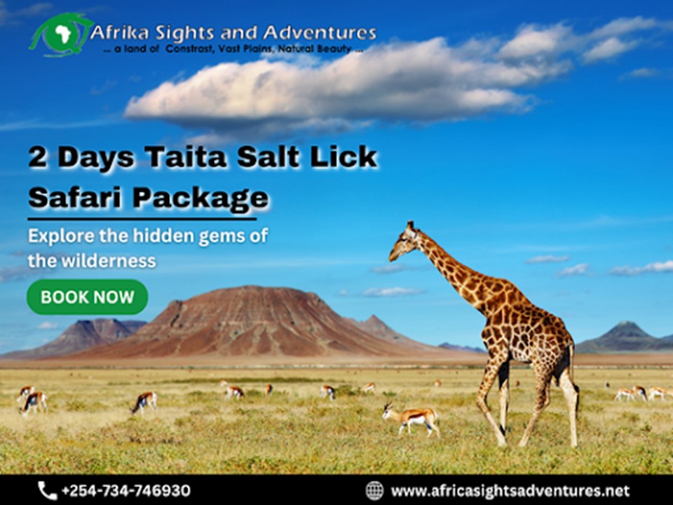Book a Quality Taita Salt Lick Safari Package