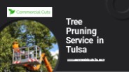 Tree Pruning Services in Tulsa