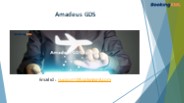 Amadeus GDS