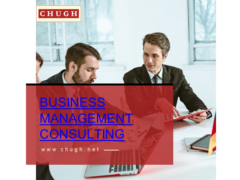 Business Management Consulting