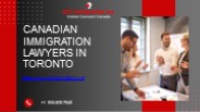 Canadian Immigration Lawyers In Toronto