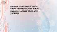 Bird Food Market