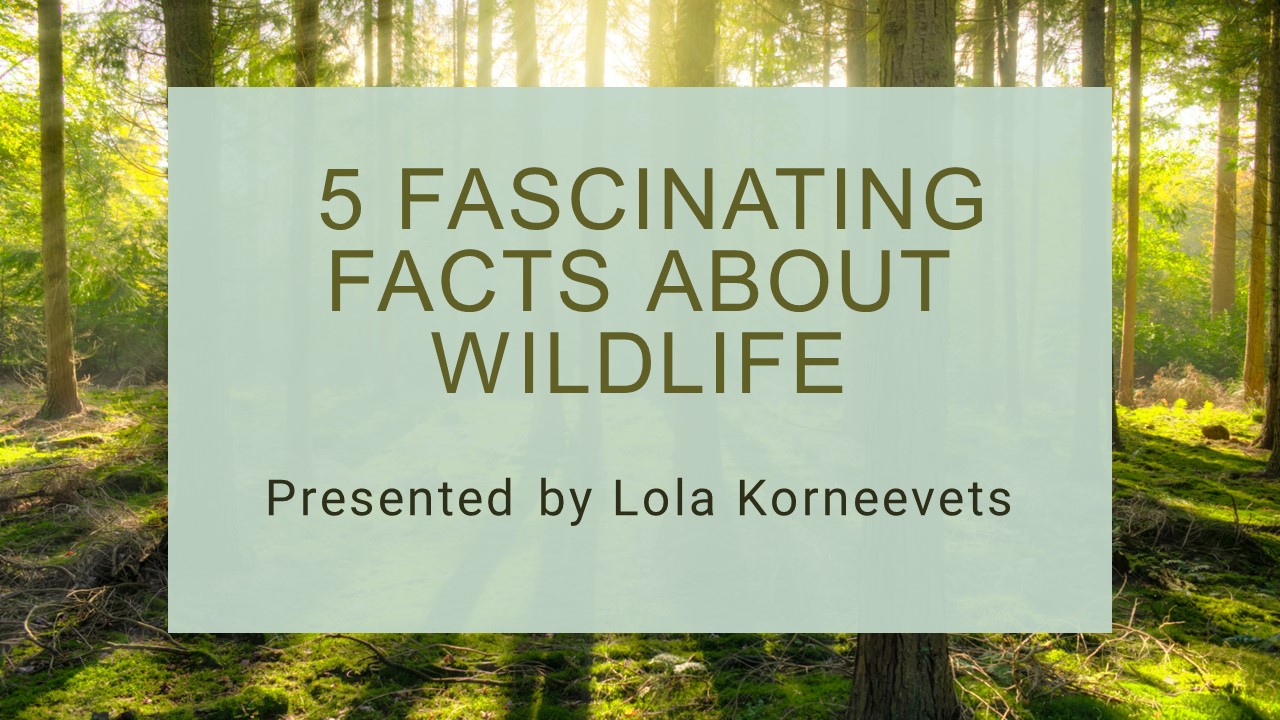 Lola Korneevets Shares 5 Fascinating Facts About Wildlife