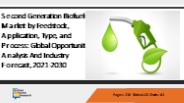 Second Generation Biofuels market