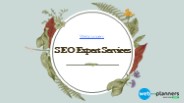 SEO Expert Services
