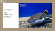 Rarest Fish Species in the World"