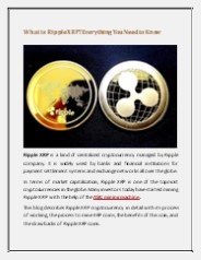 What is Ripple XRP? Everything You Need to Know