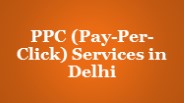 PPC (Pay-Per-Click) Services in Delhi